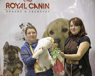    18-19  2014   4-39-169A2784 copy.jpg